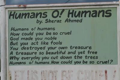 Humans.jpg
